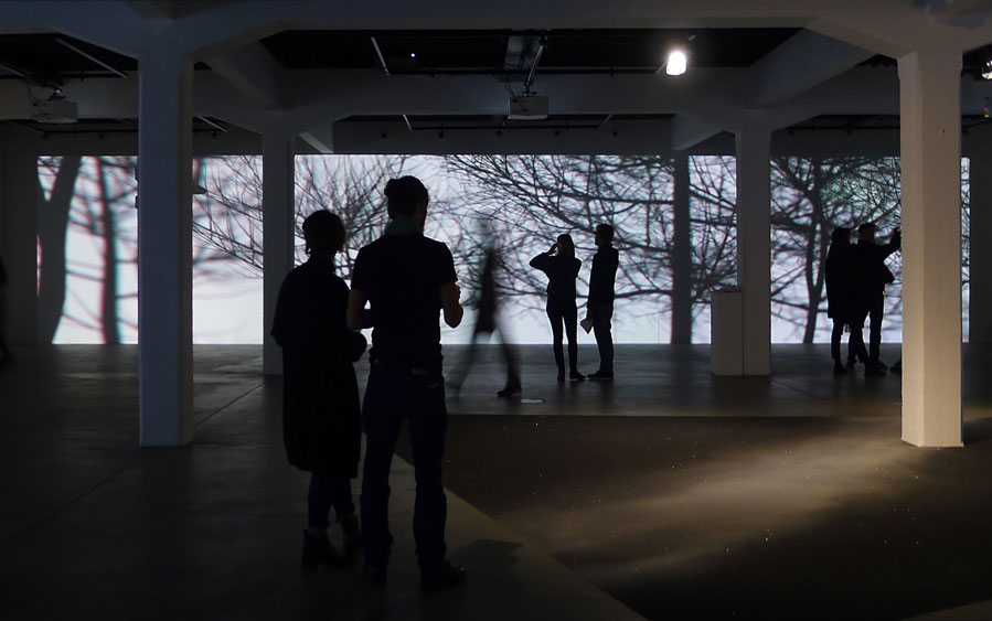 Exhibition view 'Die zweite Natur. Artistic reflections on nature in the digital age', House of Electronic Arts (HEK), Basel, 2016