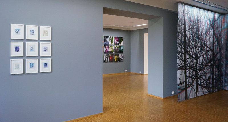 Sterea skia analogue (left) versus digital (right), Municipal Gallery, Offenburg 2016.